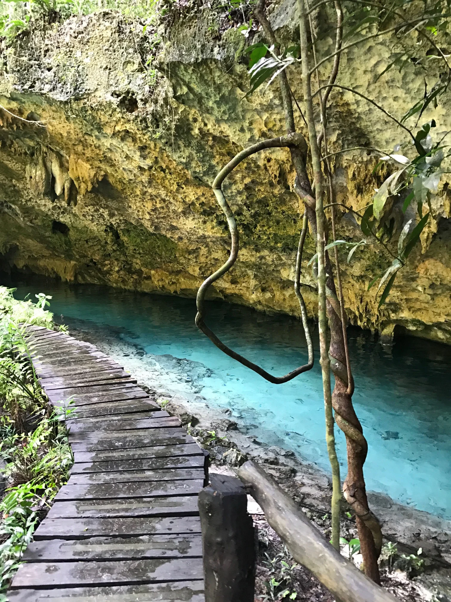 Cenote.jpg