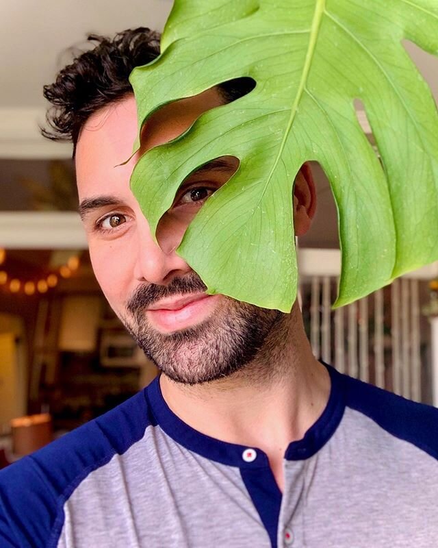 Peeking at the weekend 🍃 #monstera #quarentine⁣
⁣
⁣
⁣
⁣
⁣
⁣
⁣
⁣
⁣
⁣
⁣
⁣
#washingtondc #instagay #plantdaddy