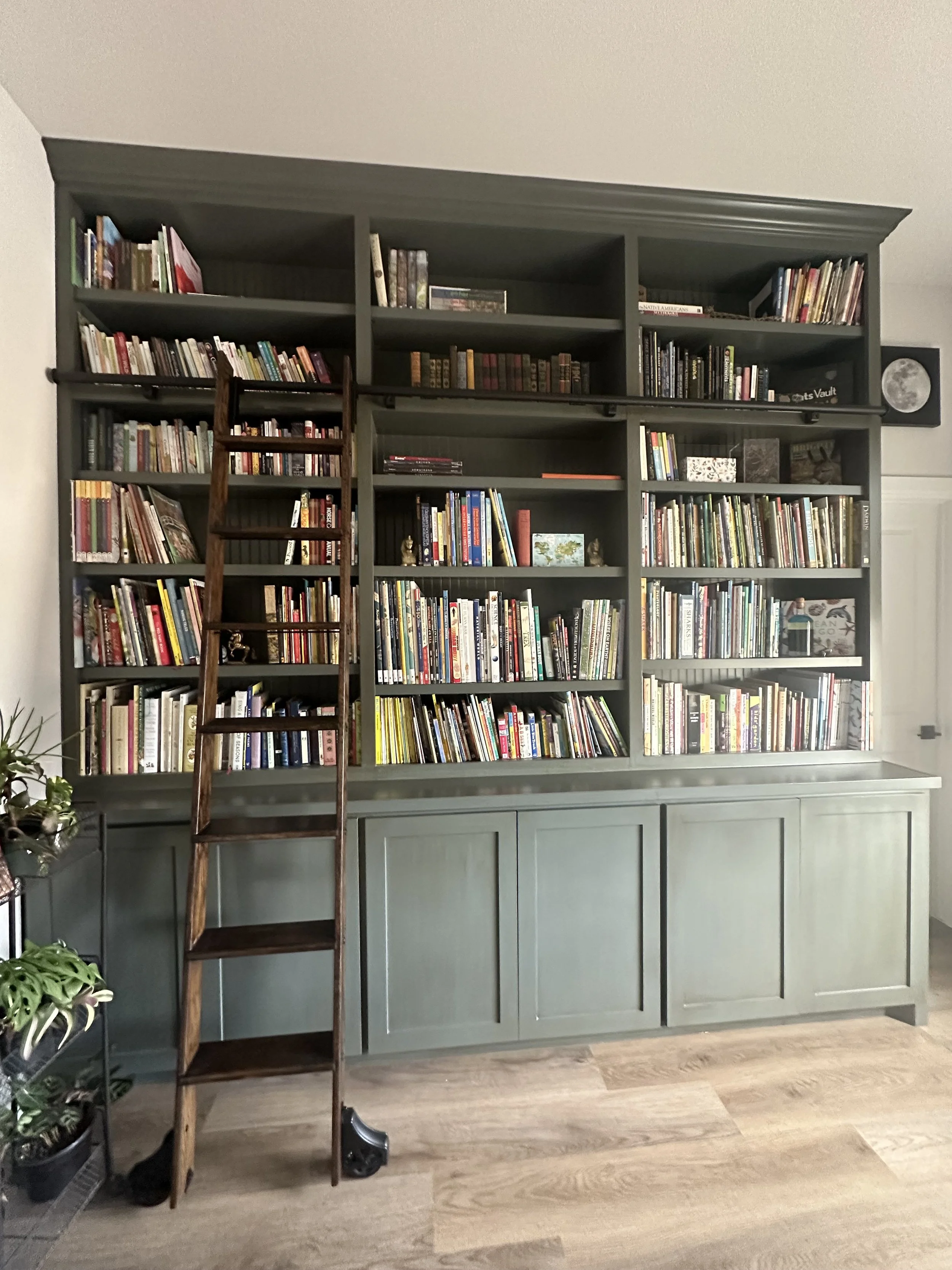Custom Bookcase With Rolling Ladder - Azle, Texas