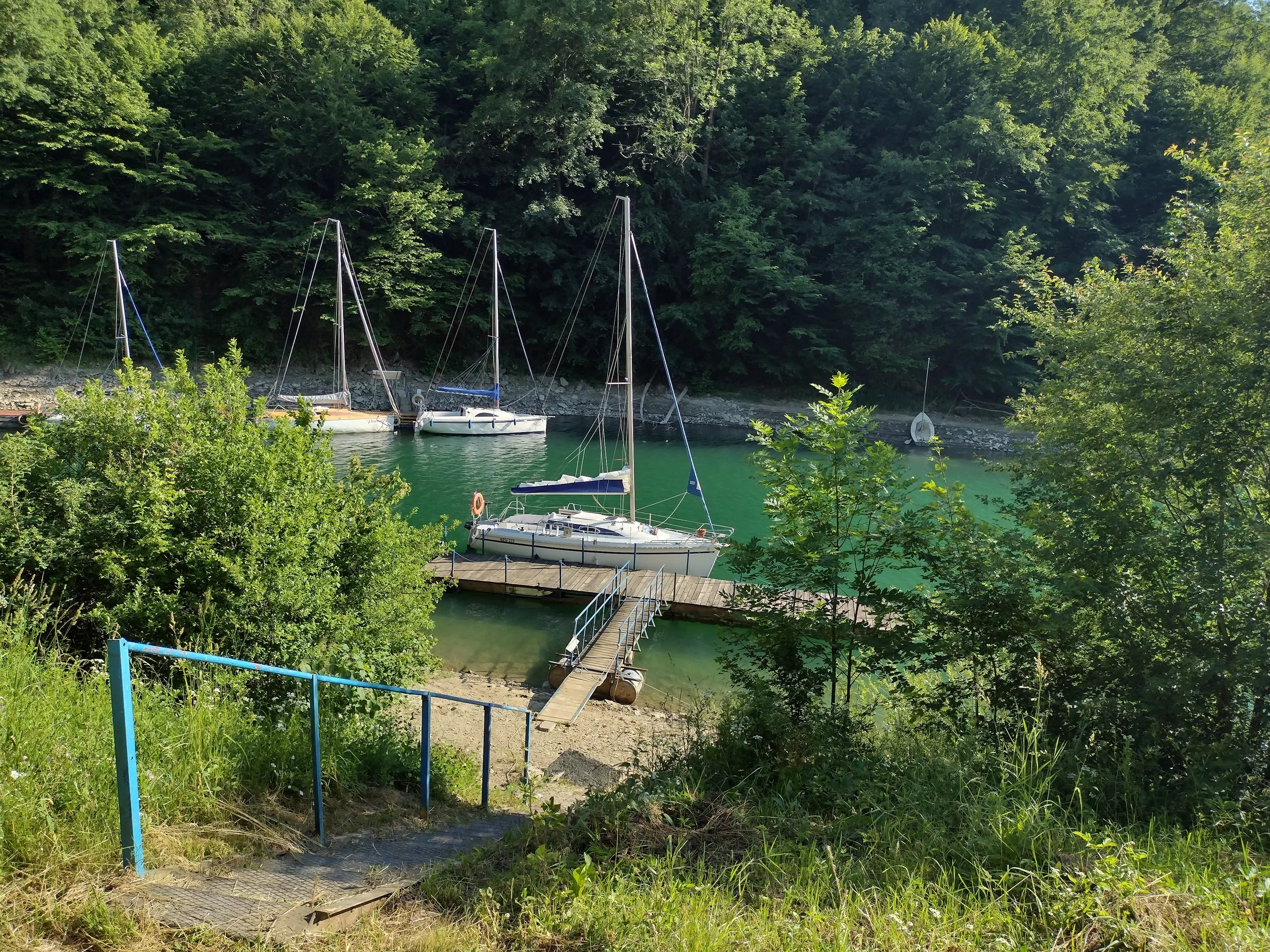 IMG_20260624_172331064_HDR.jpg