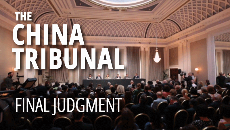 China Tribunal Kay Rubacek Swoop Films