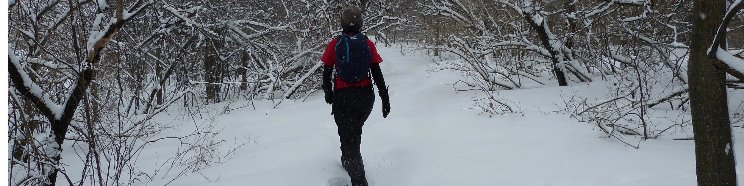 l'île Saint-Bernard (2018). Snowshoeing, like writing, is harder than it looks.