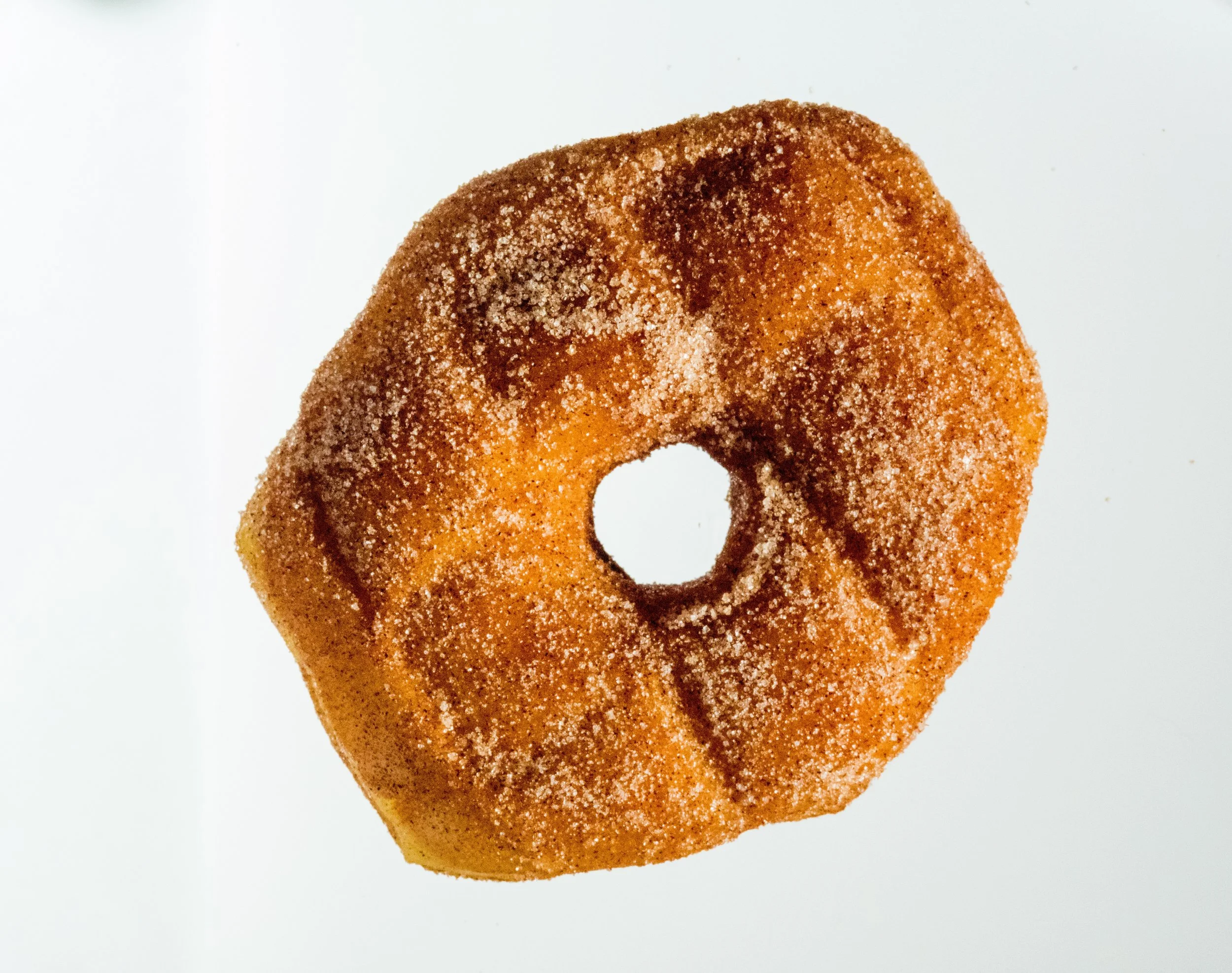 Store — The Wandering Donut