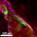 Screen Shot 2018-09-25 at 3.42.36 PM.png