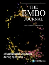 17.cover-source.jpg