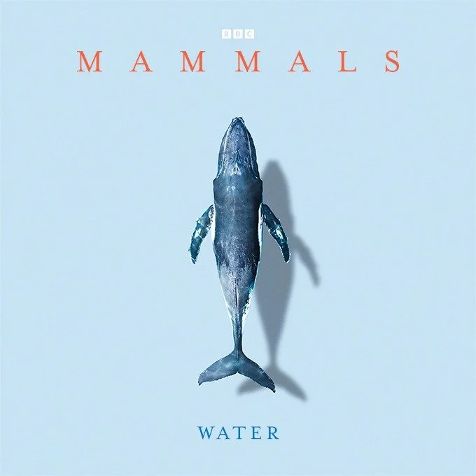 Title Image Water.jpg