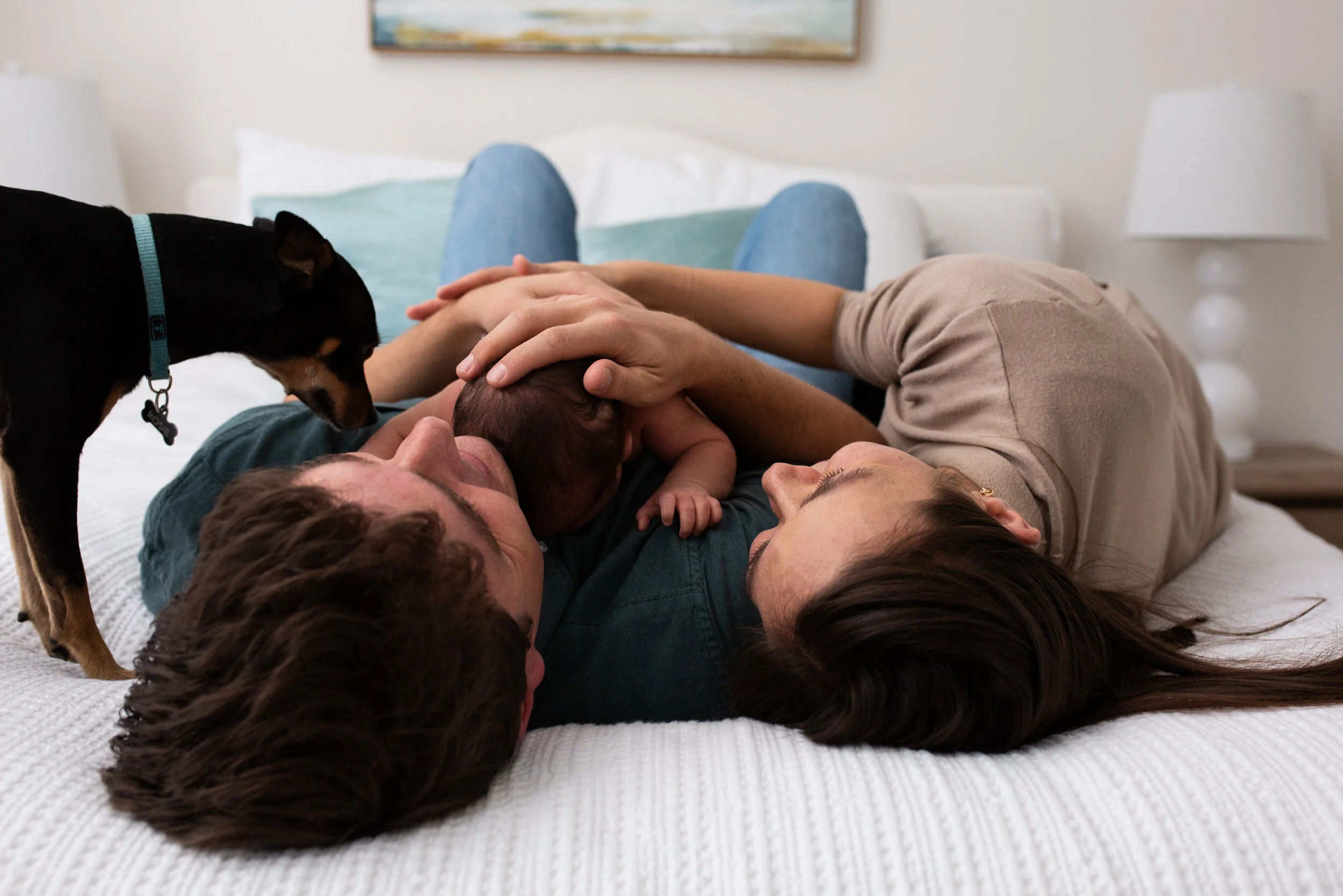 A family with a newborn baby cuddle on a bed in their home. Their family dog peeks her head in.