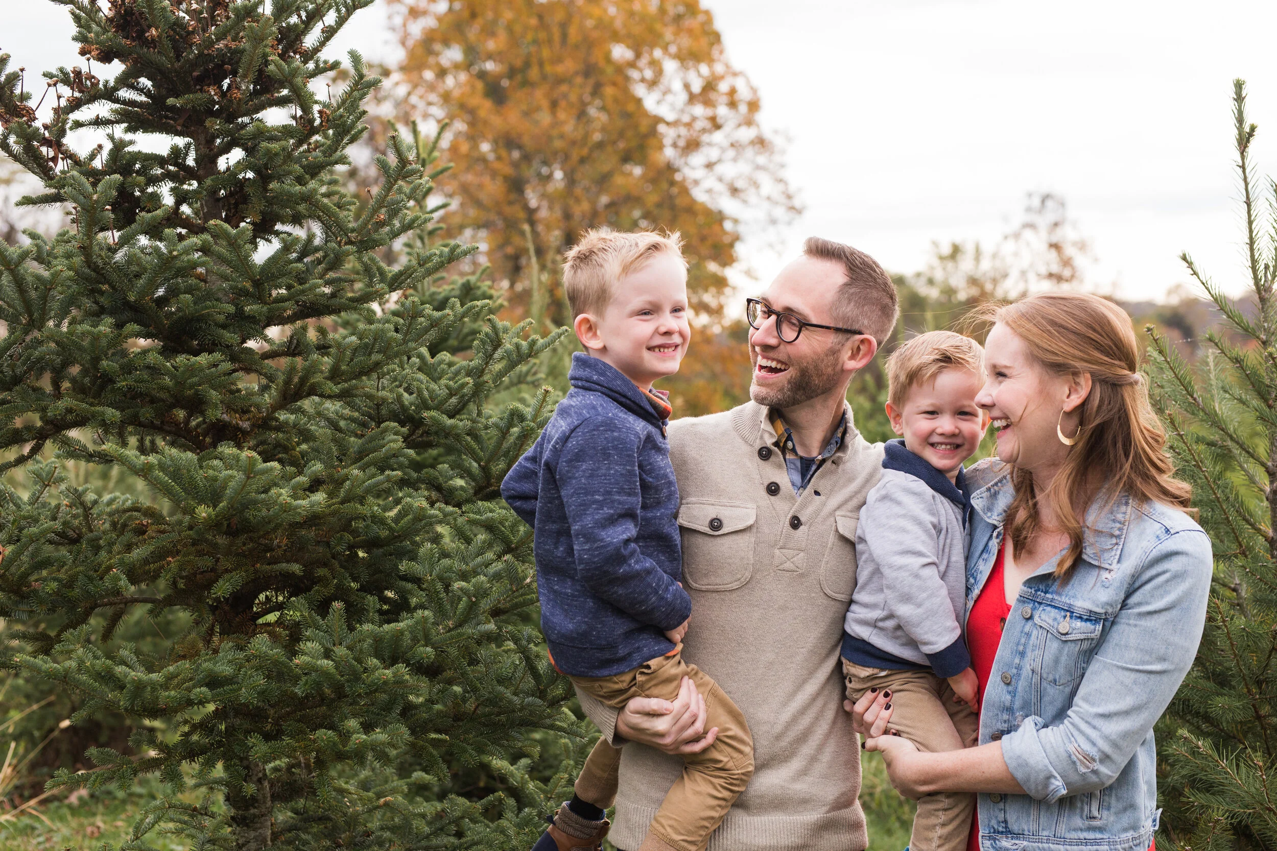 A family with 2 young boys look at each other, smiling and laughing. They are surrounded by Christmas trees