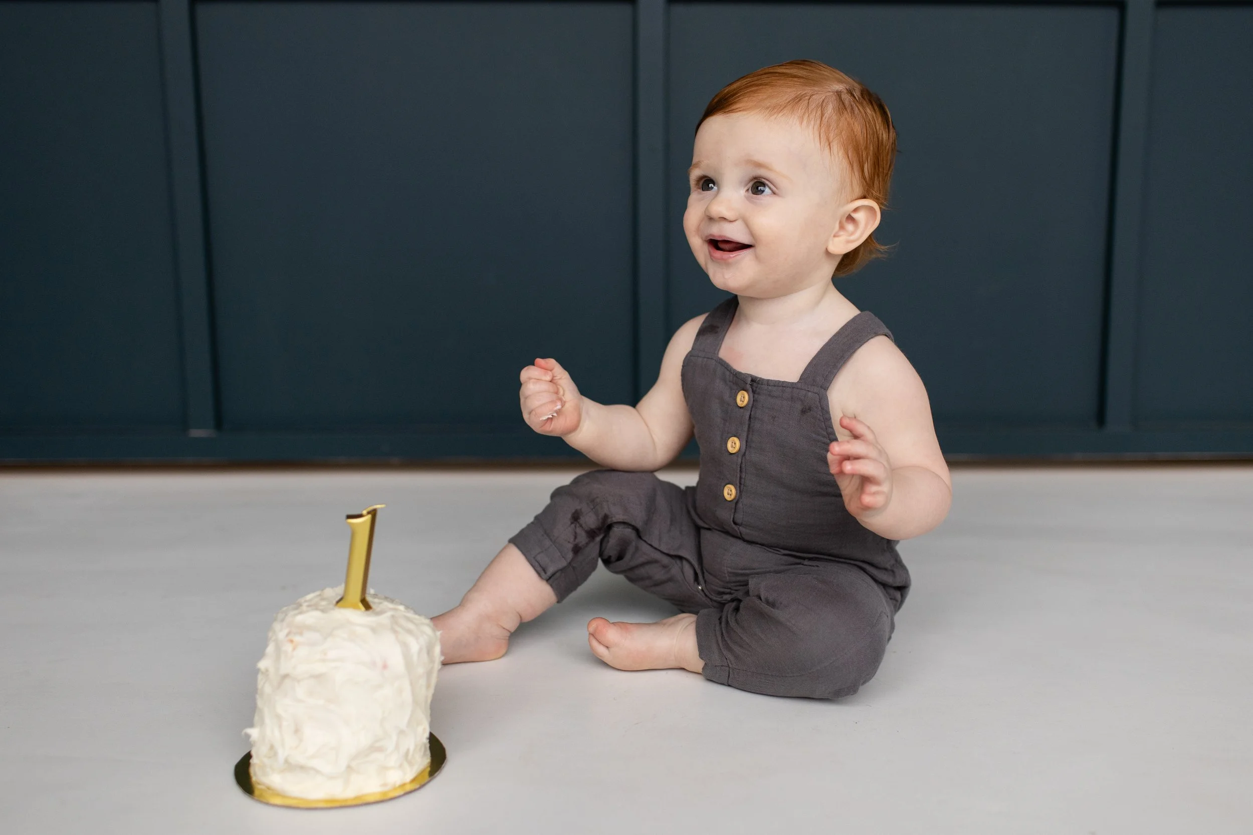 pittsburgh-baby-milestone-one-cake-smash.jpg