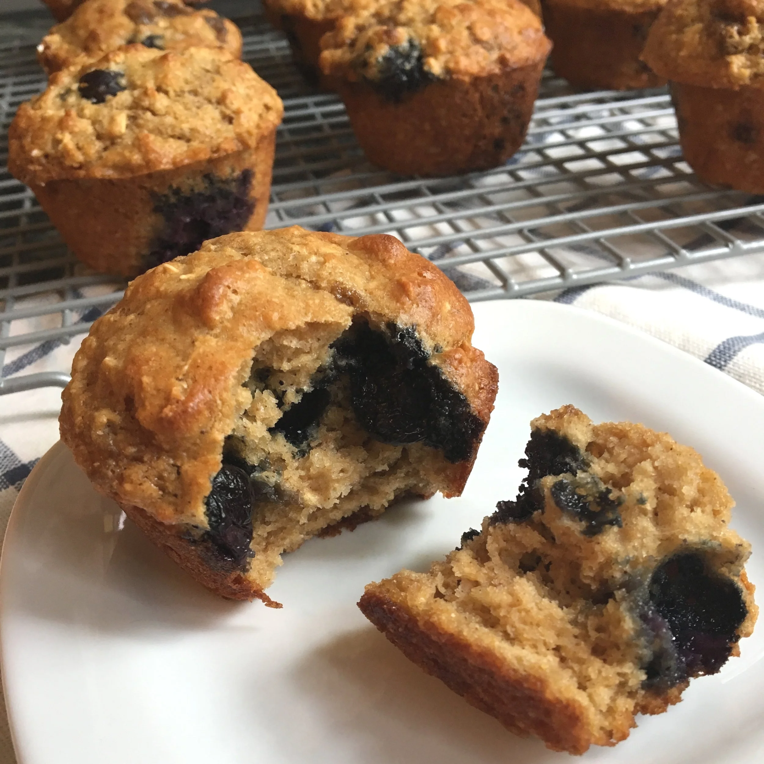 Protein Blueberry Muffins