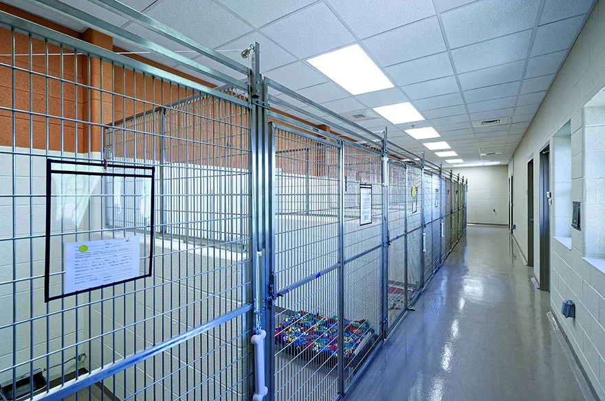 2017-04-28_MCACAC_Interior_11 (Reduced-Size).jpg