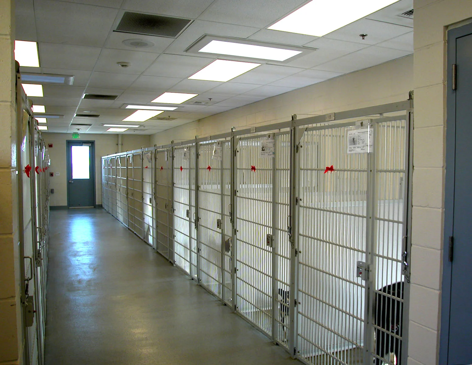 Montereykennel40.JPG