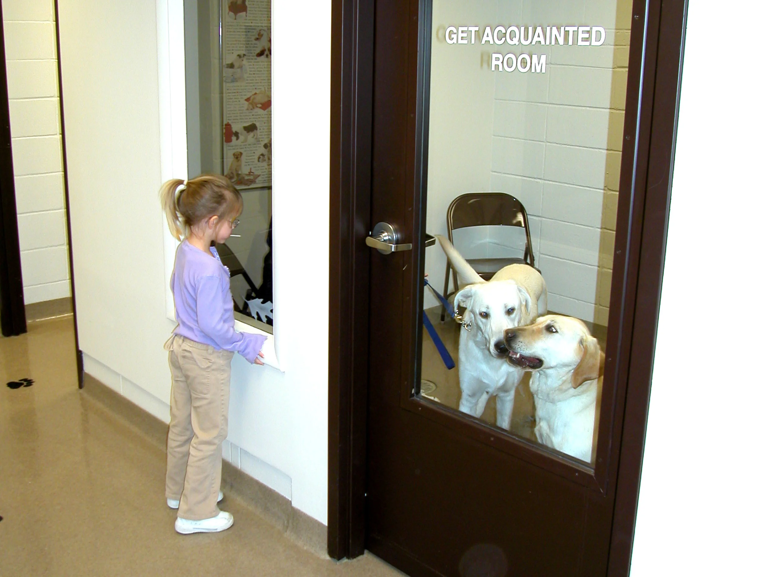 warren county animal control and adoption center