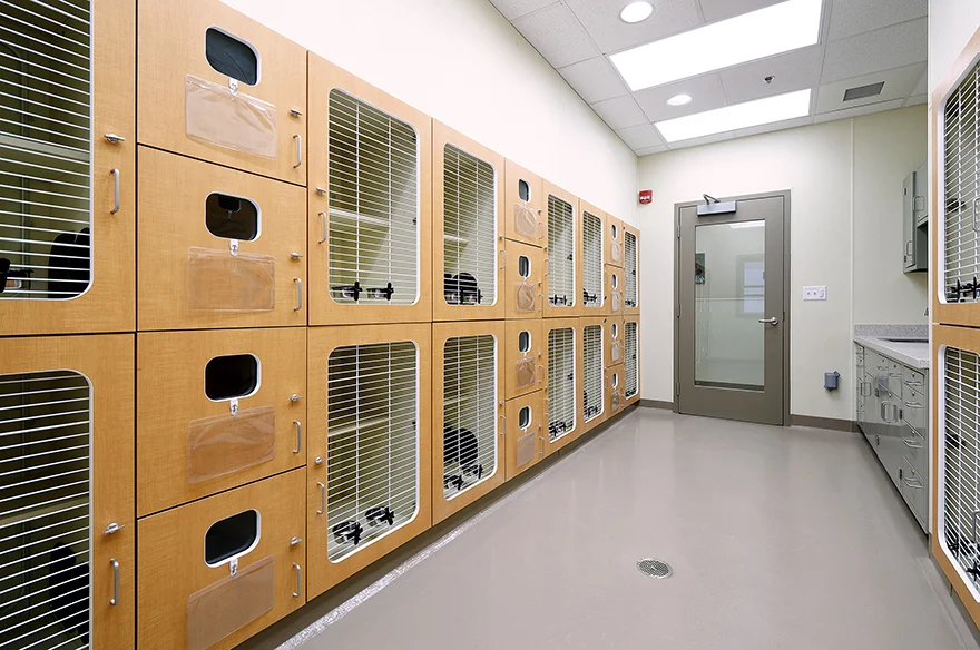 2017-04-28_MCACAC_Interior_07 (Reduced-Size).jpg