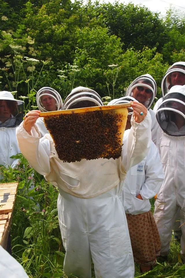bee.jpg