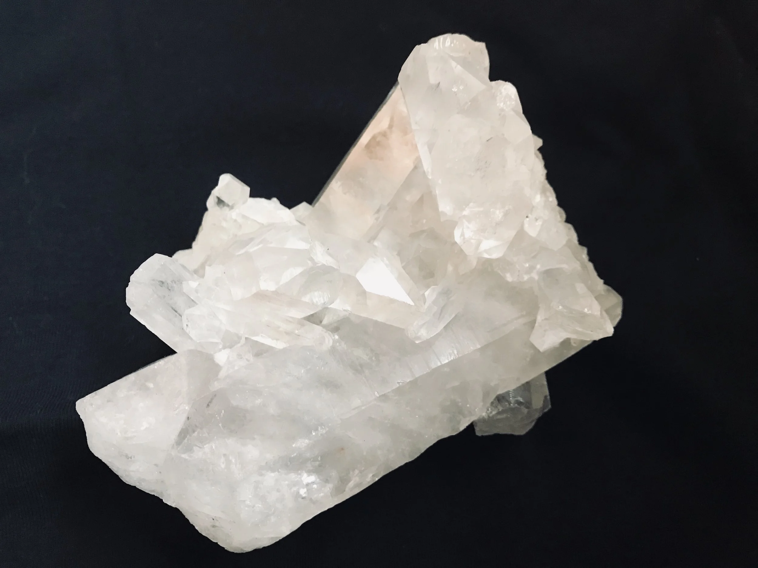 Venus Moves Retrograde into Libra