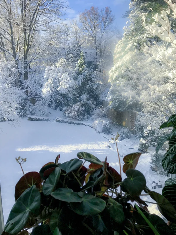 FLH_Winter_Window_Shot_V02-600.jpg