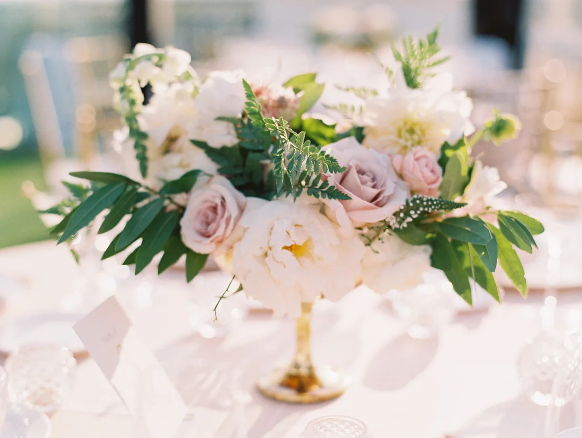 carmensantorelliphotography-90.jpg