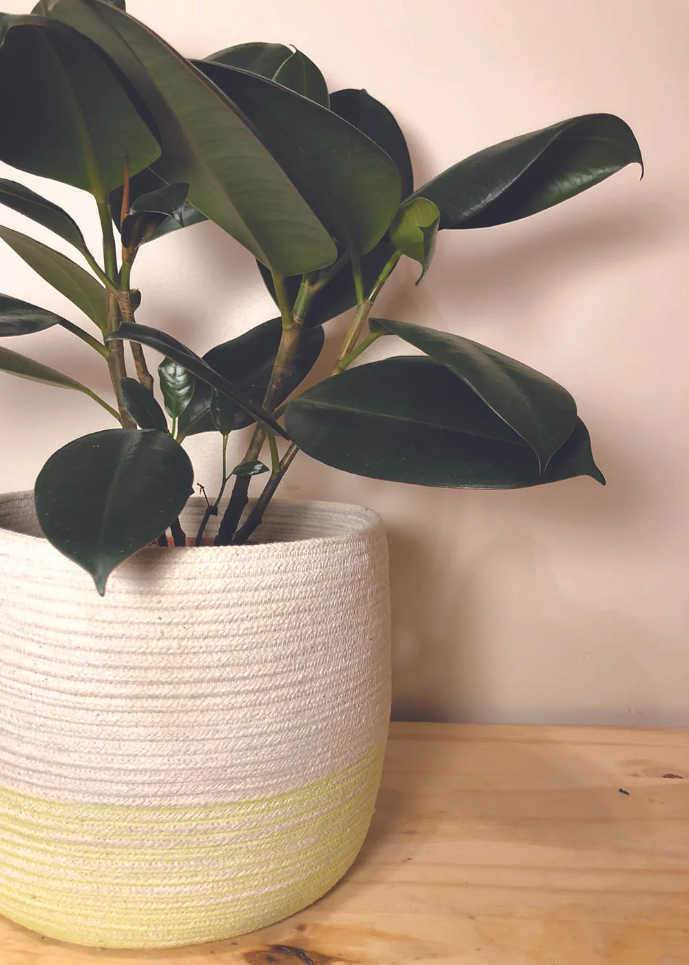 Planter 3.jpg