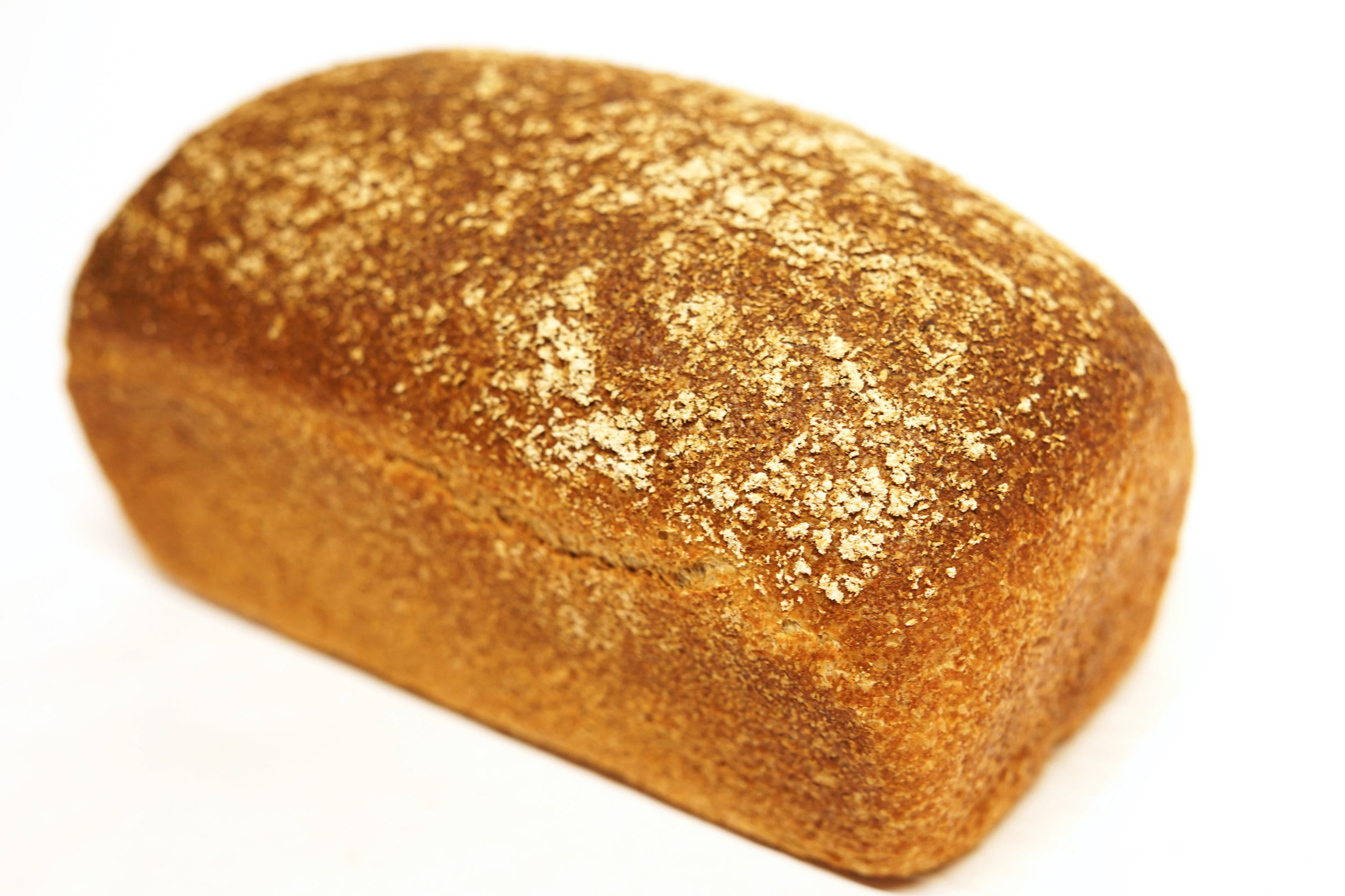 Shasta Wheat (4).jpg