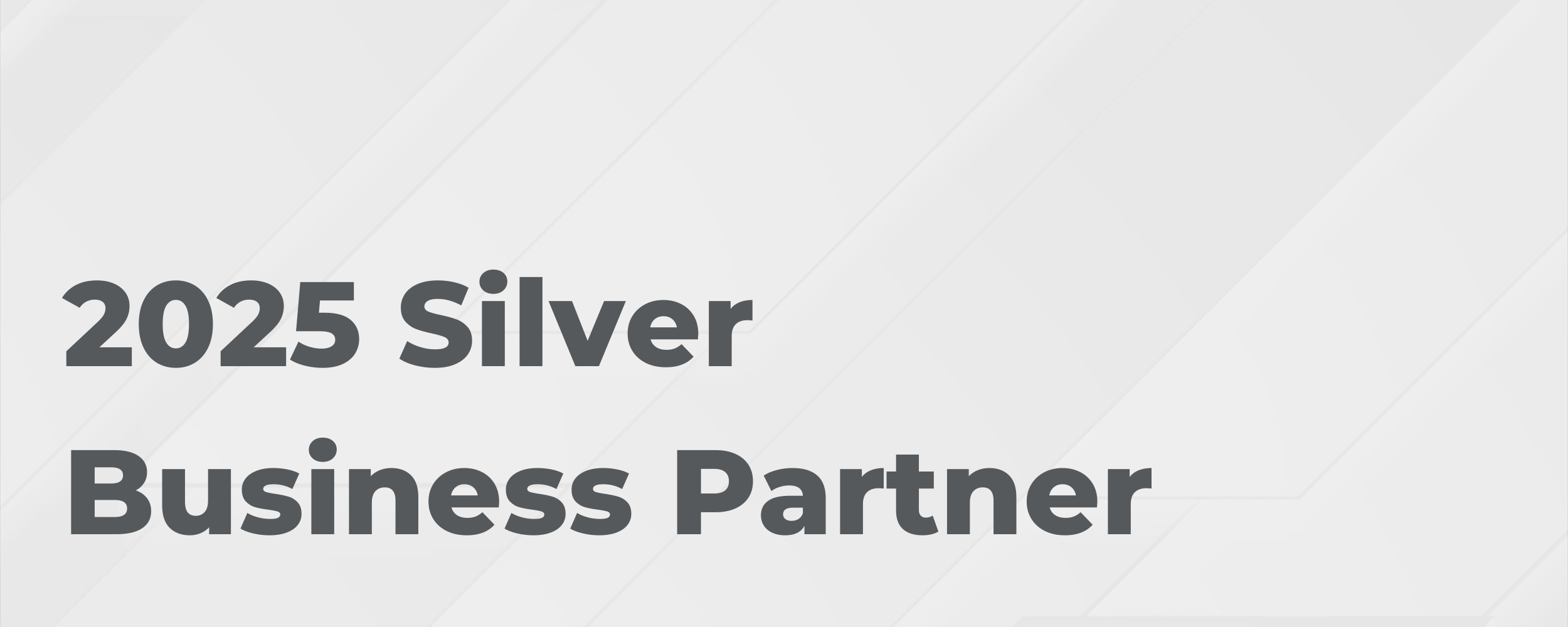 2025 Silver Partner