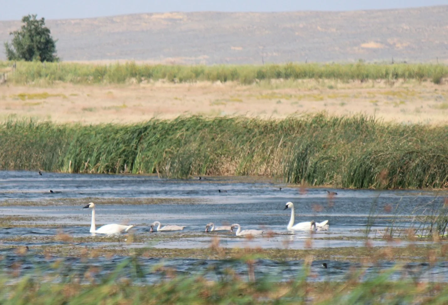 Wind River Blog Photo.jpg