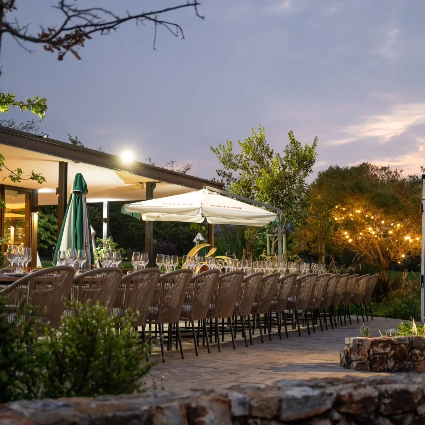 Echoes of a New Beginning 💫

Our first SecretEATS of the year unfolded just as we imagined, intimate, familiar and filled with quiet magic.

Beneath the enduring branches of the Old Oak we gathered again in a space that feels like home, yet welcomed