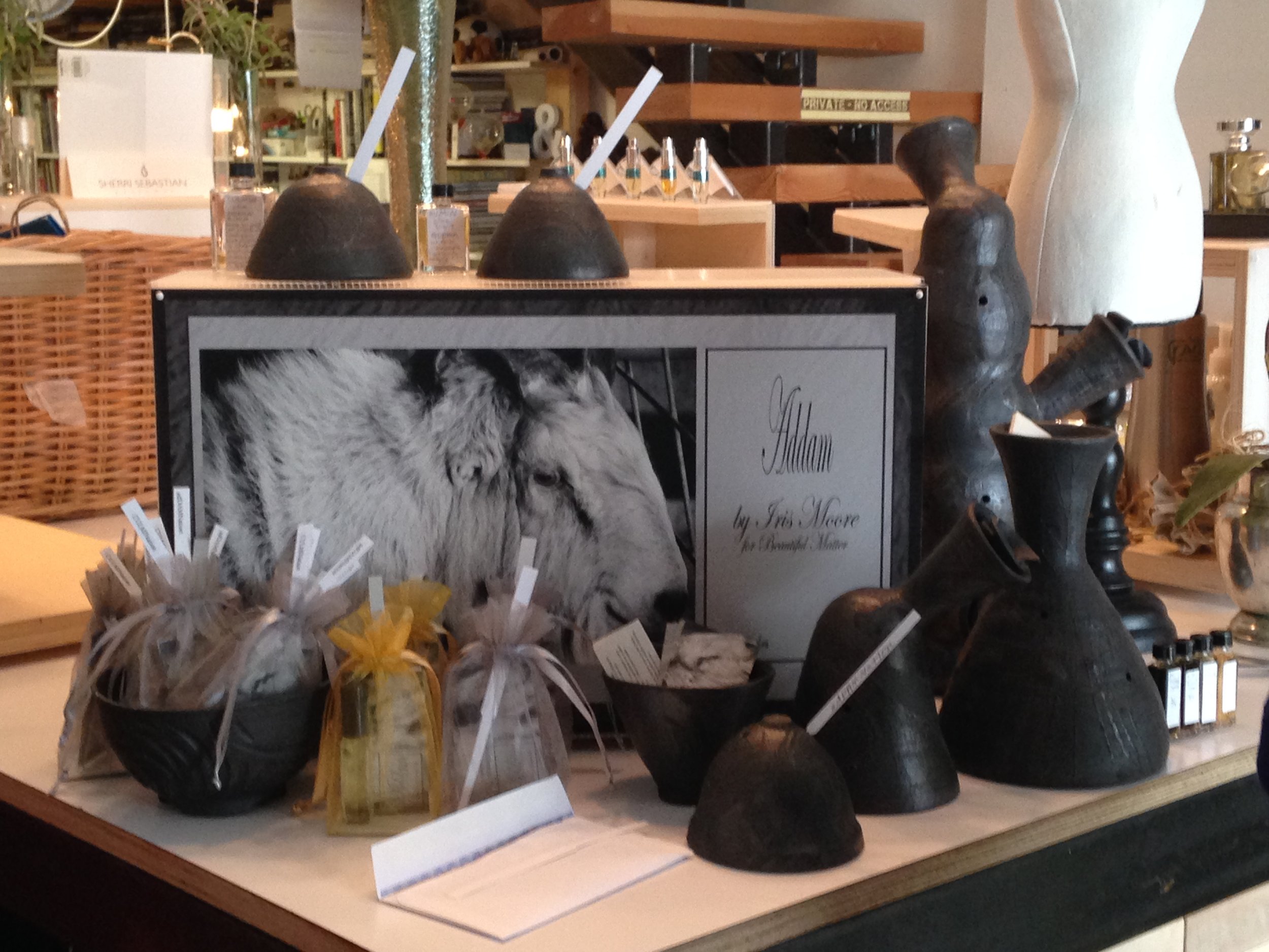 iphone pics 52014-32015 028.JPG