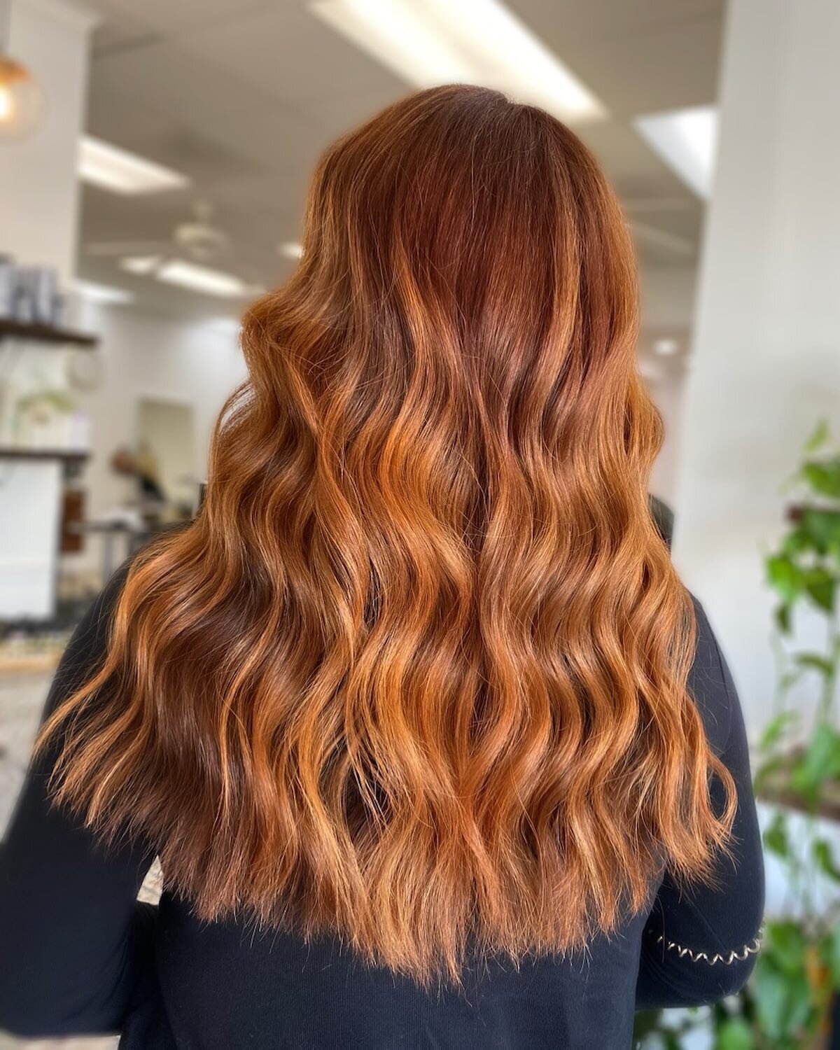@allnutrient red copper series coming in H O T🔥
Hair by: @a_and_co._beauty 

Formula -
Root: 30g 7RC 30g 8RC 5g 7G 35g 7N 20vol
Toner on pre lifted ends: 6IC 8IC demi