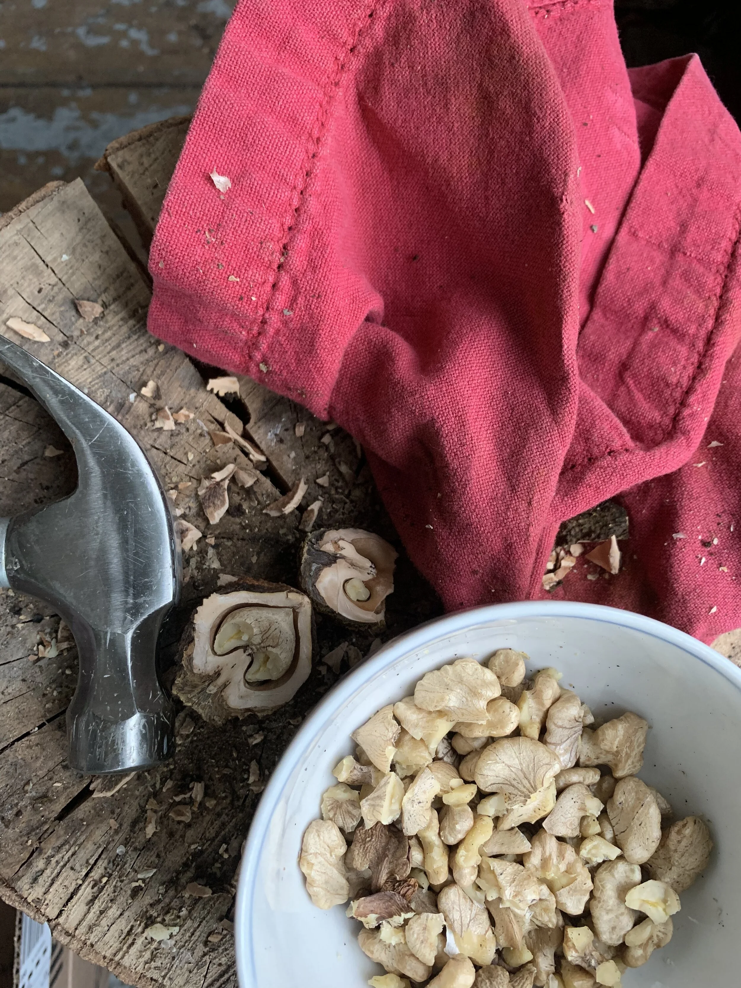 Black Walnut