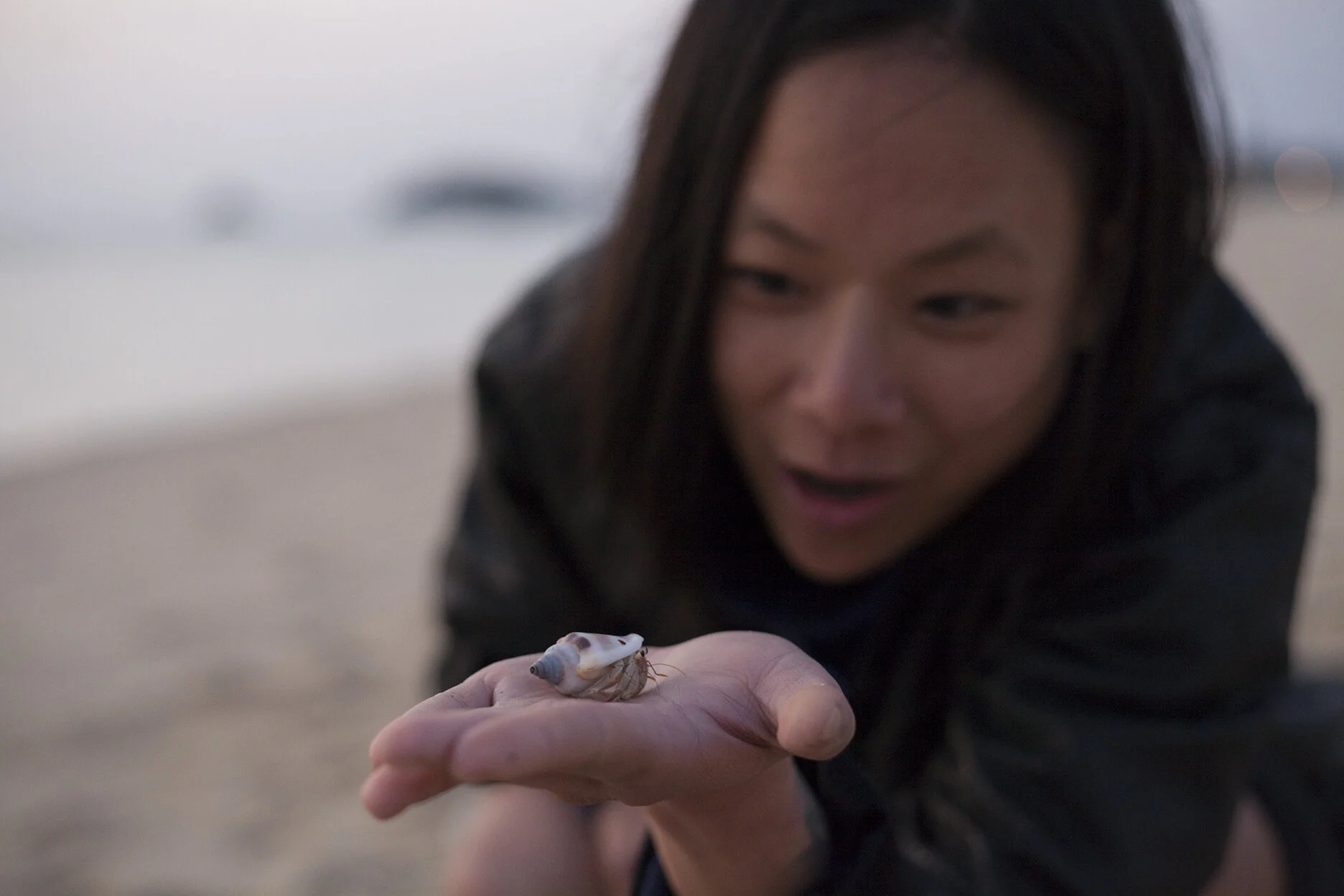 Hermit Crabs