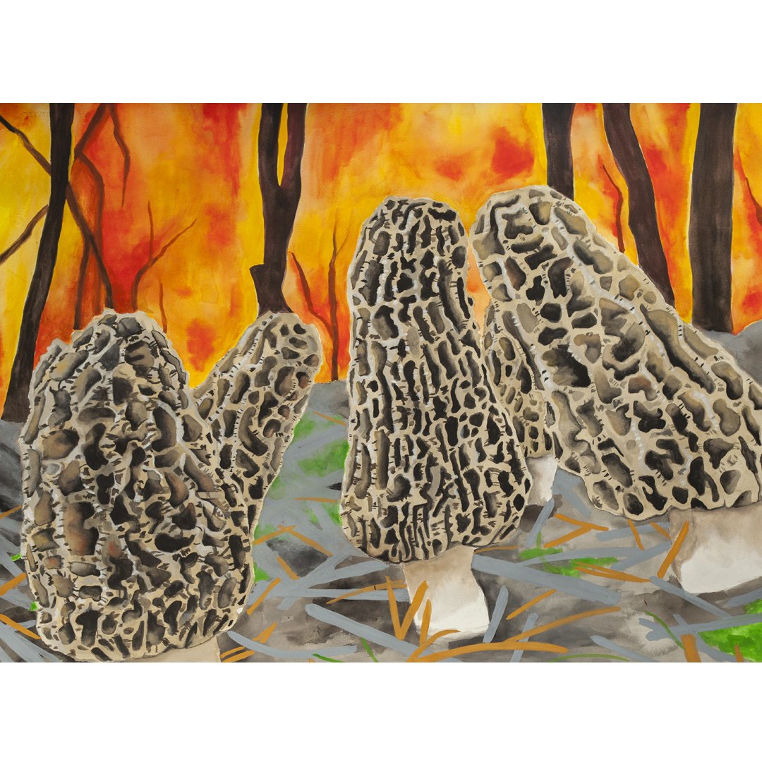 morels wall.jpg