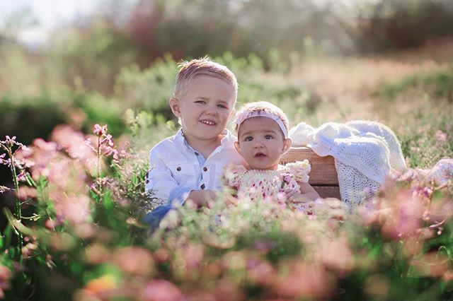 All these weeds in bloom are making locations I would prob not shoot in otherwise look so amazing. 
#laceyborbaphotography #magicallychaotic #grandjunctionfamilyphotographer #grandjunctionphotographer