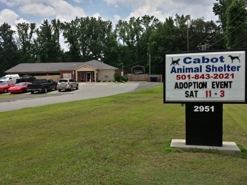 cabot animal shelter.jpg