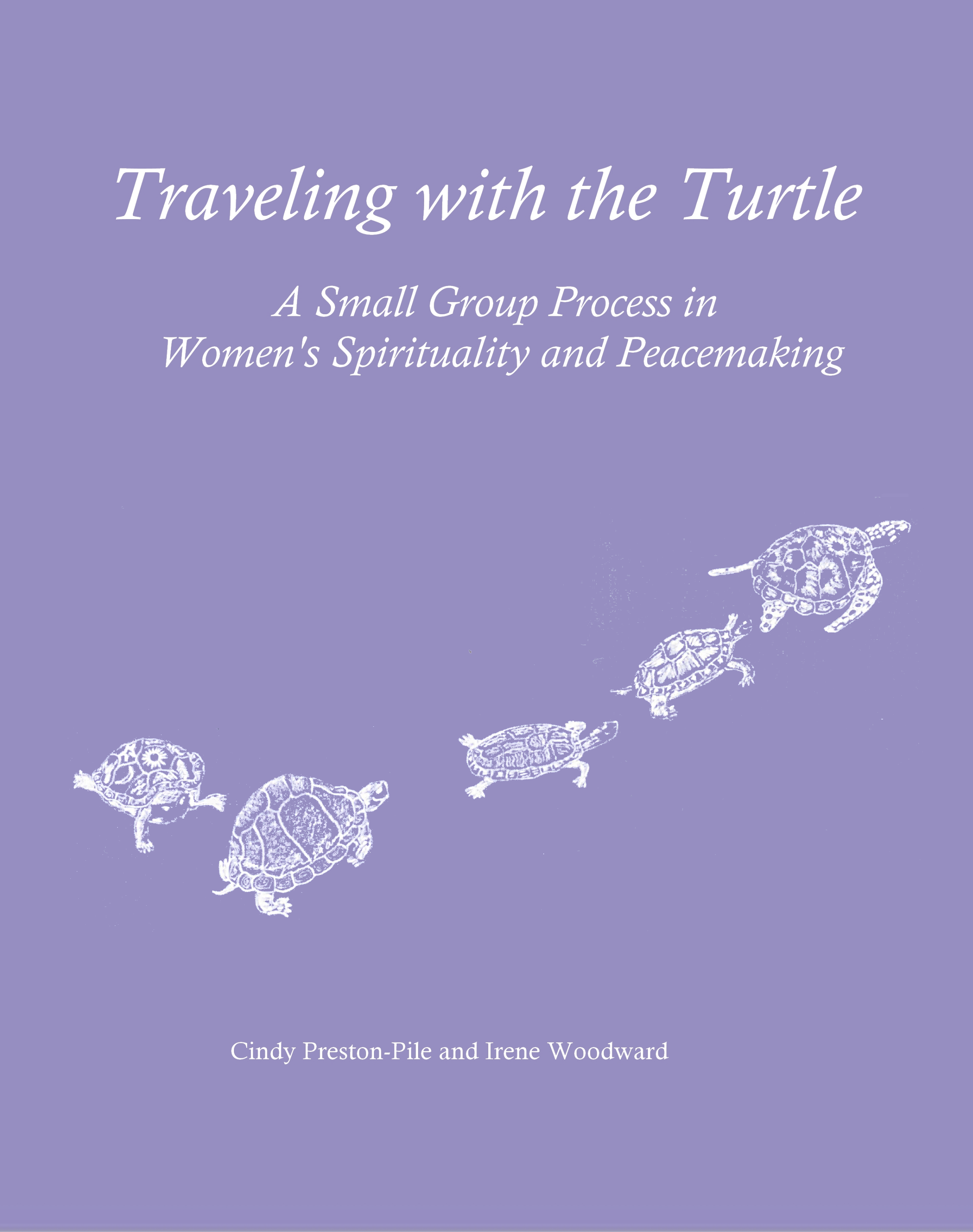 Traveling with the Turtle Front Cover.png