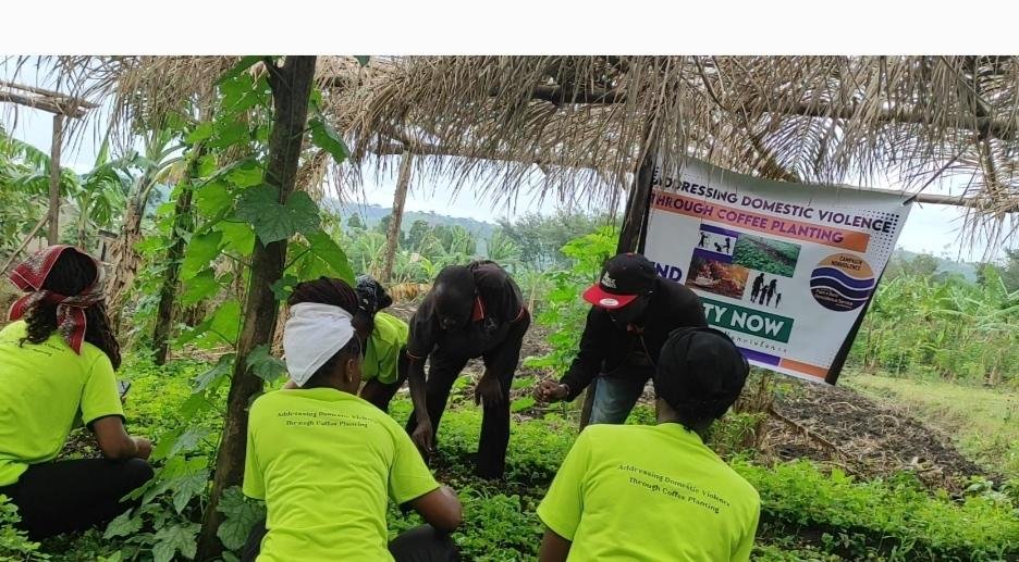  A picture of group B leaders also cleanings and organizing the seedlings. 