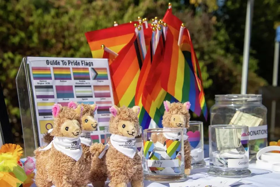 CNV Midland, MI 2024