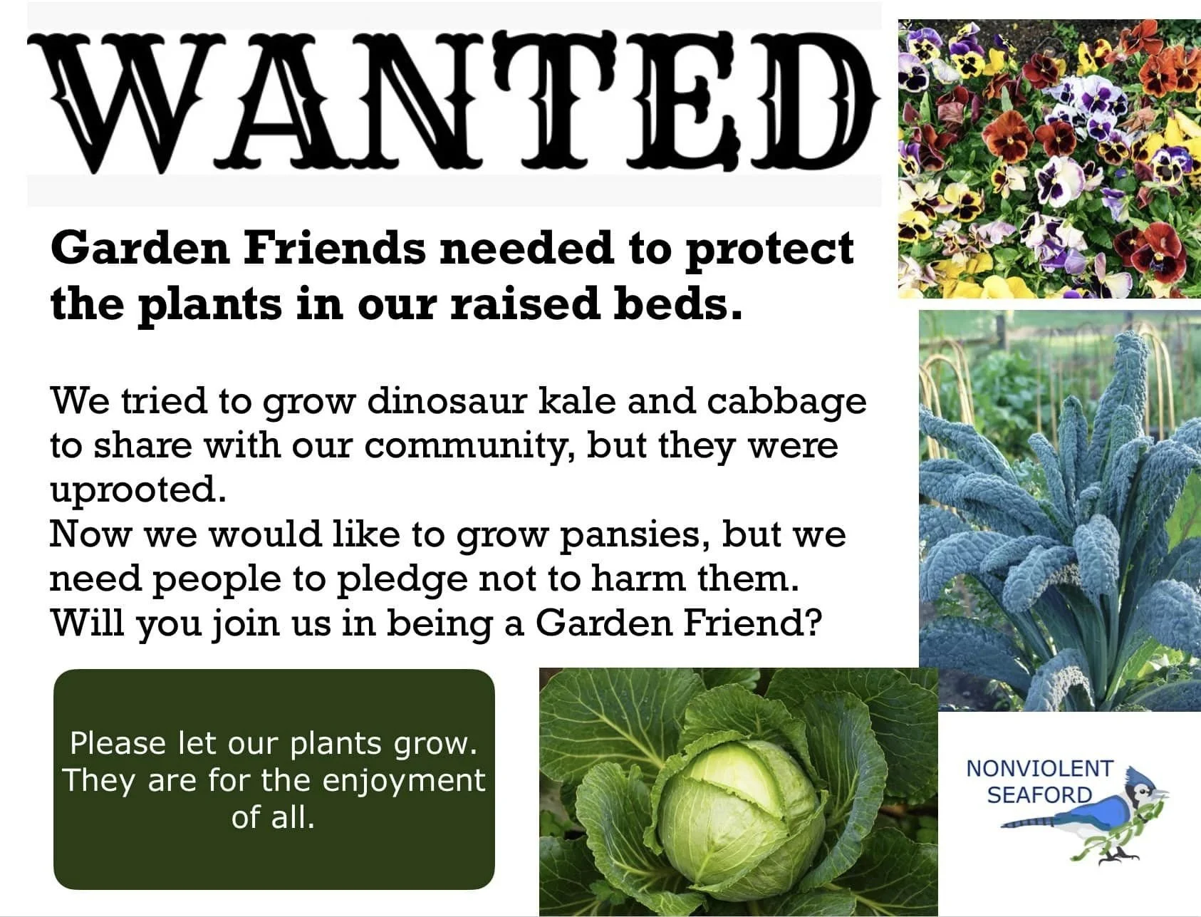 CNV Seaford, DE 2024