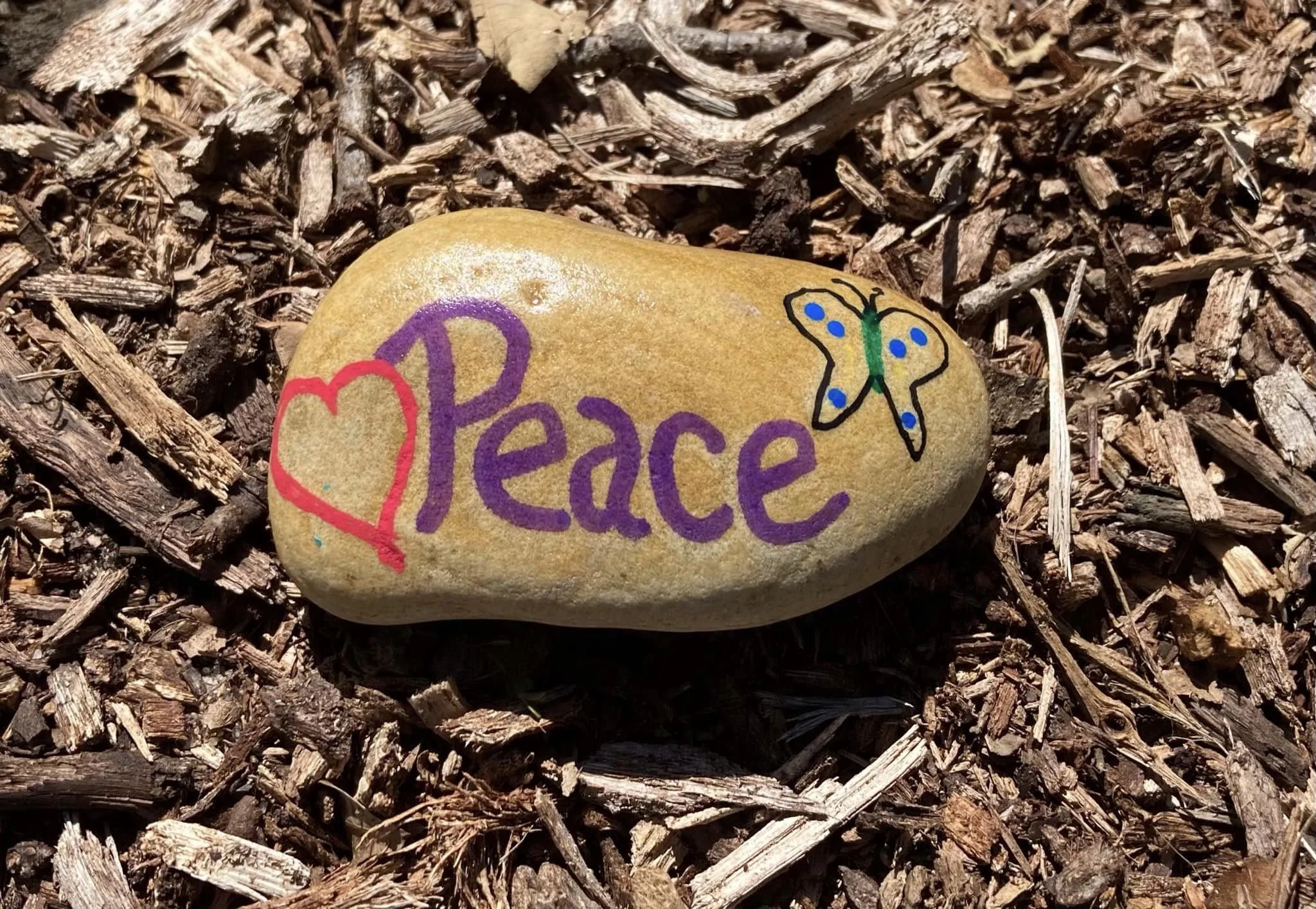 CNV Seaford, DE 2024