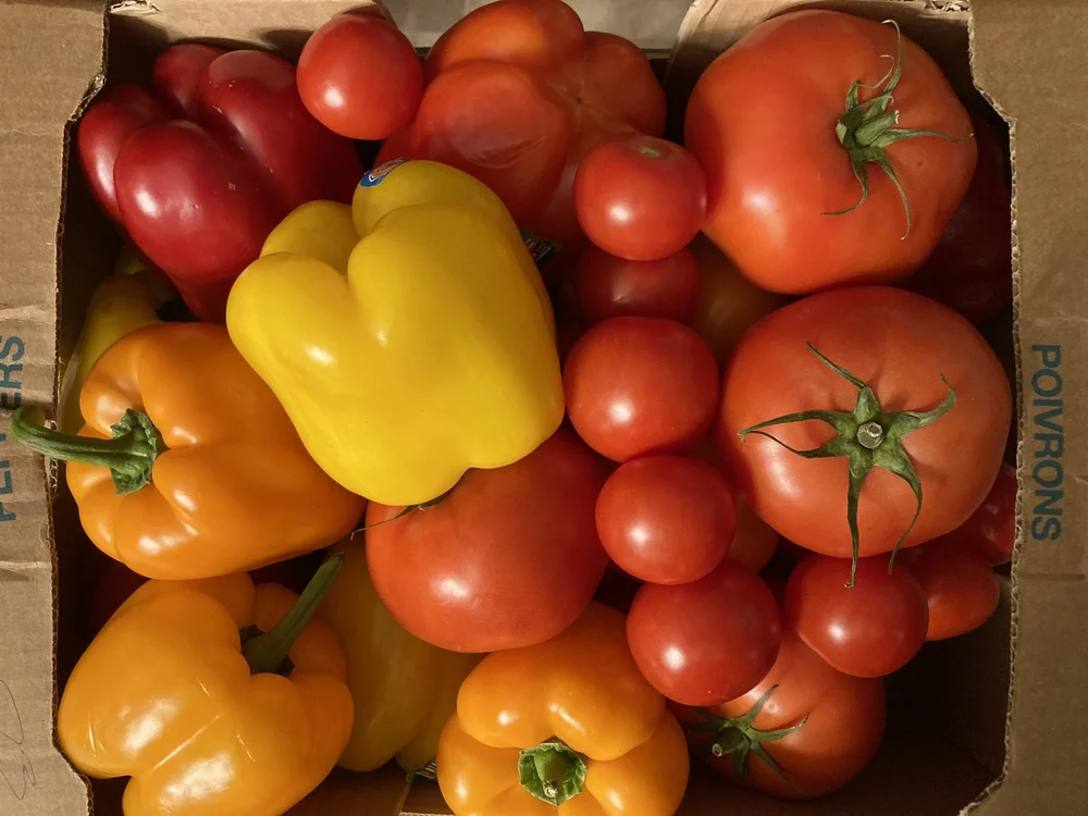  Sample of the beautiful produce distributed. Photo by Beth Kopicki 