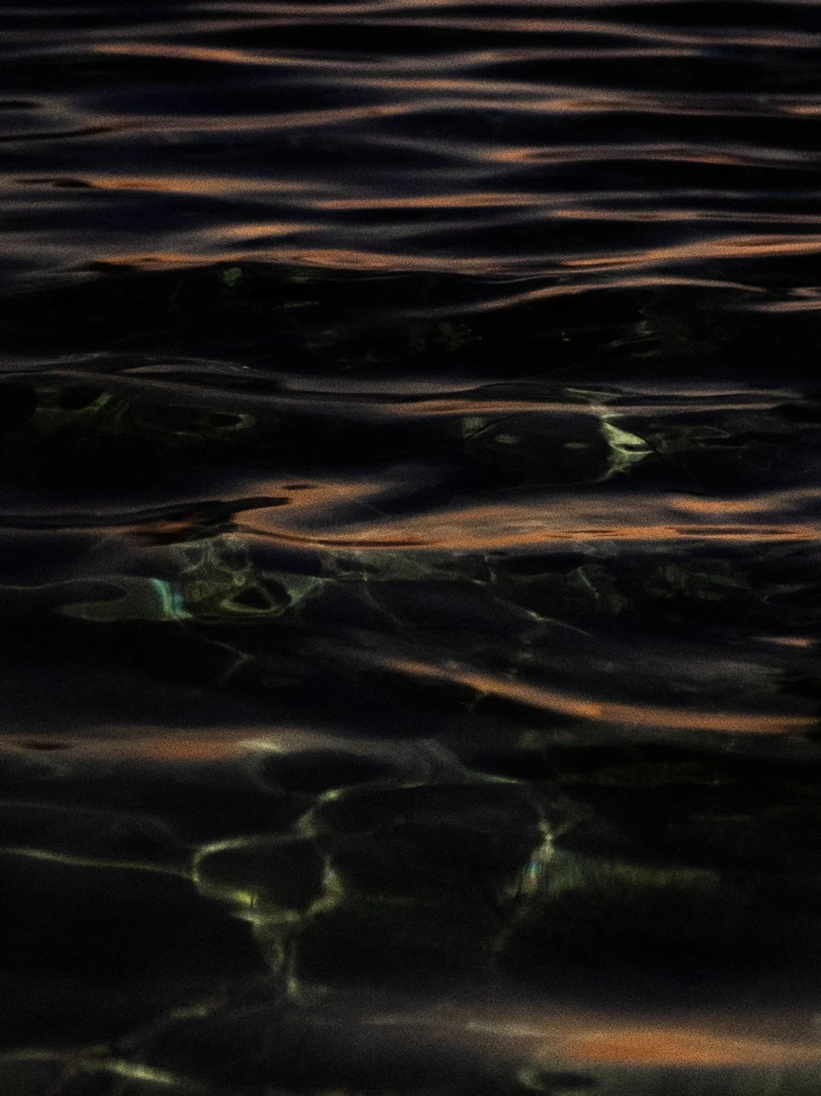 A03A5889-2.jpg