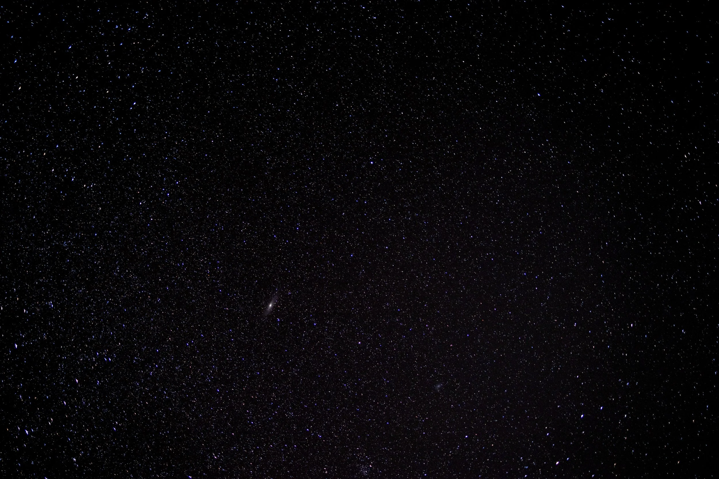 A03A6402.jpg