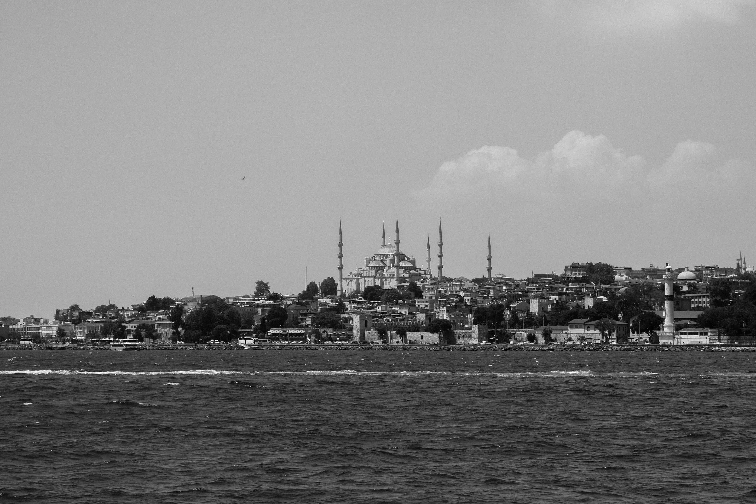 IMG_9576.jpg