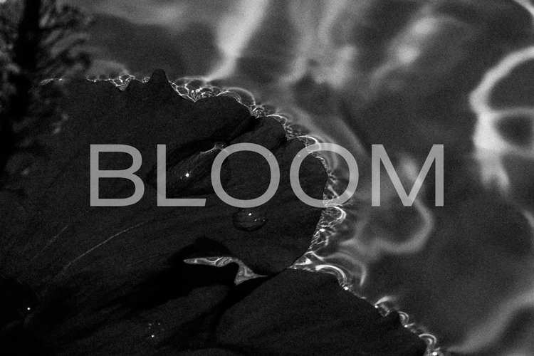 BLOOM.webp