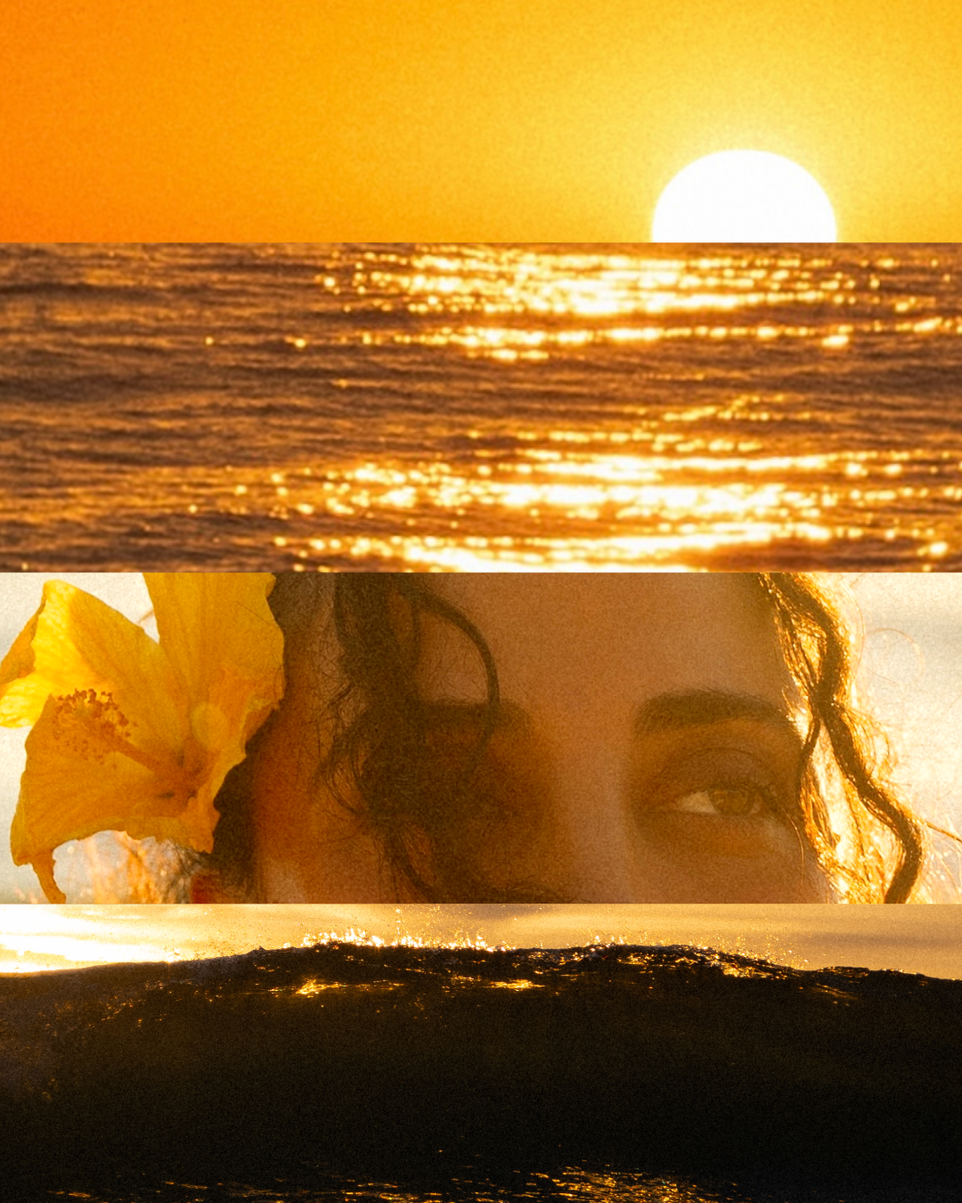 Untitled - August 17, 2026 at 21.21.36.PNG