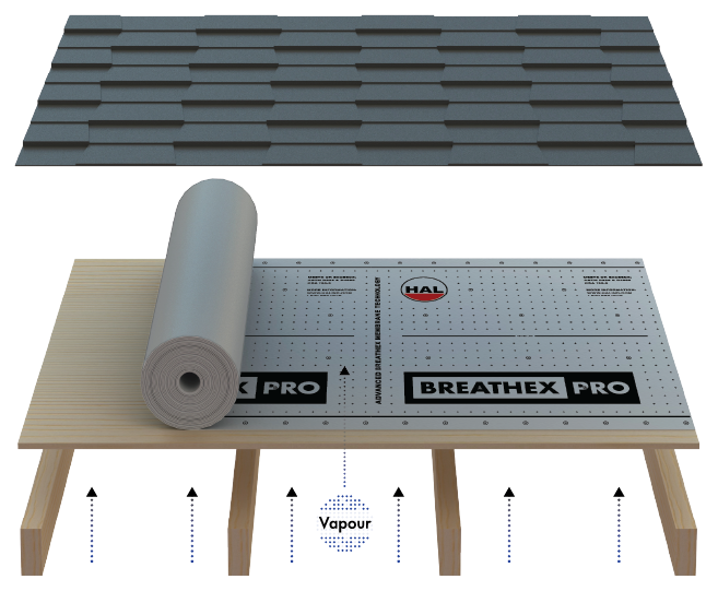 Diagram showcasing vapour passthrough feature of Breathex Pro as installed under roofing