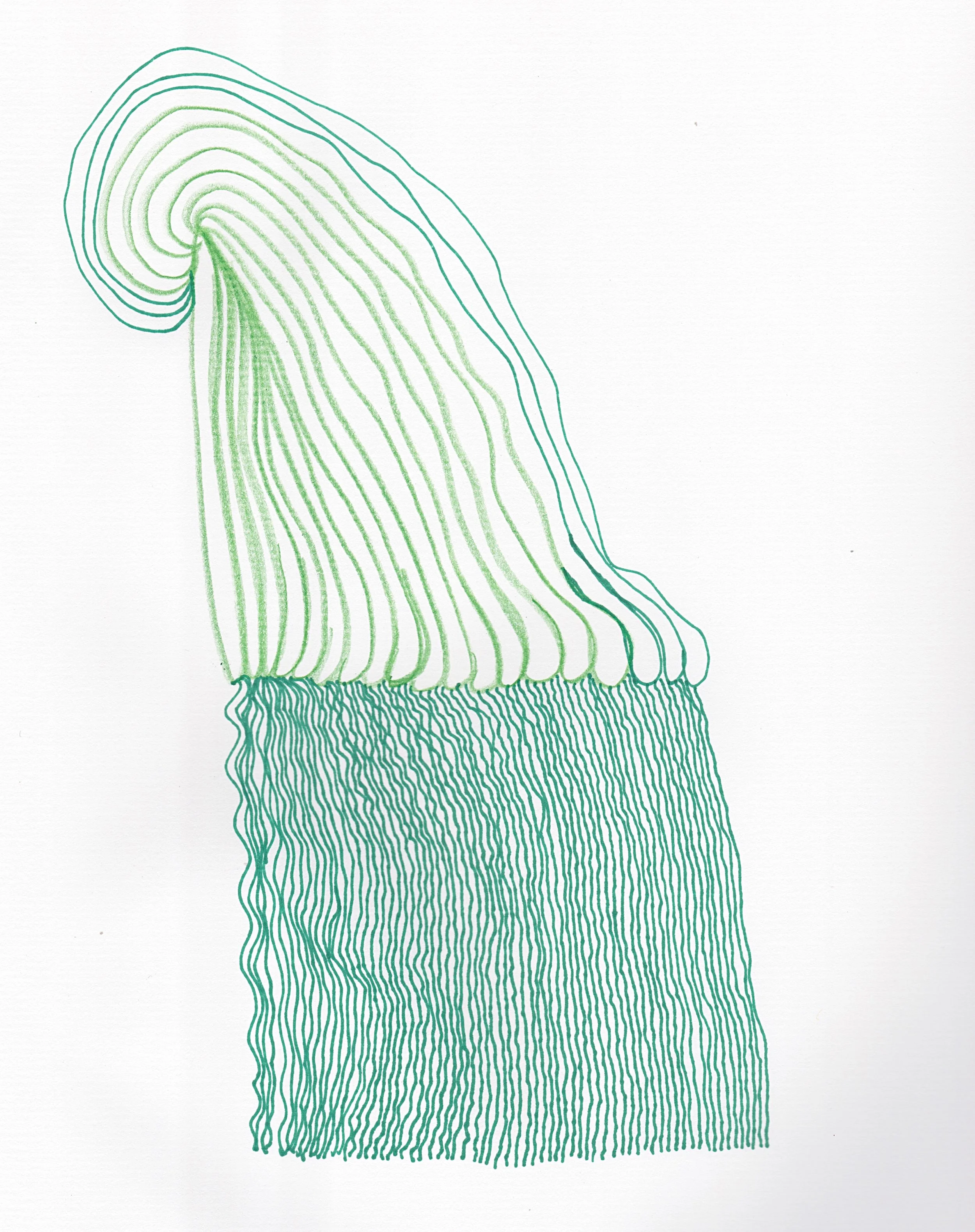 Foam