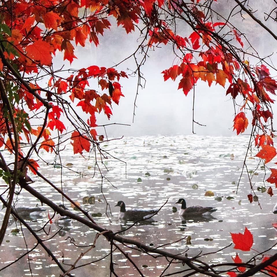 This was taken this morning at a nearby state park where we fish often. Winter seems to have come in like a lion! It&rsquo;s currently in the high 30s, with wind gusts upwards of 40mph. 
Not fishing weather. 

Credit: JH Danan.