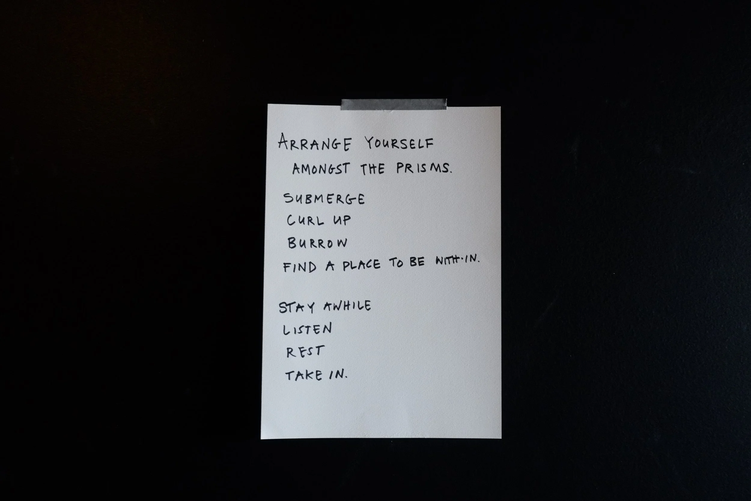 Photography by Evan Ray Suzuki