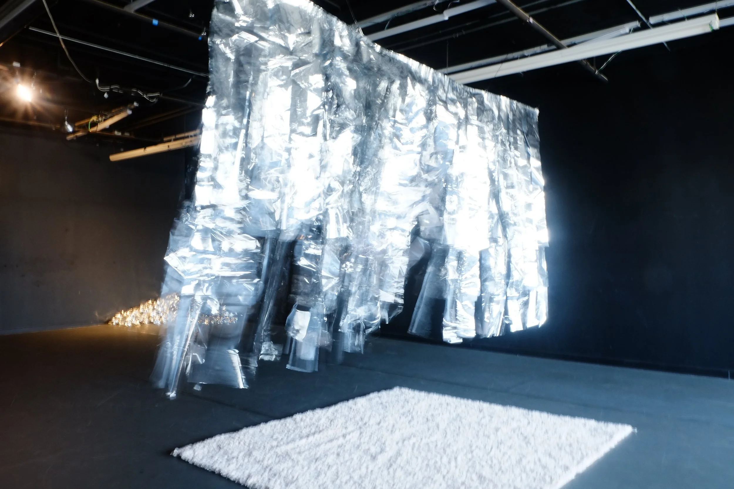 Photography by Evan Ray Suzuki